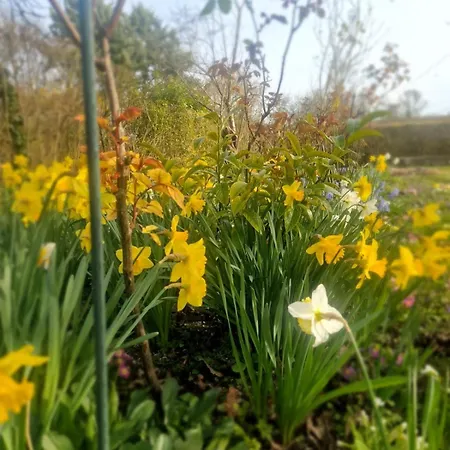 Grande Maison A La Campagne *